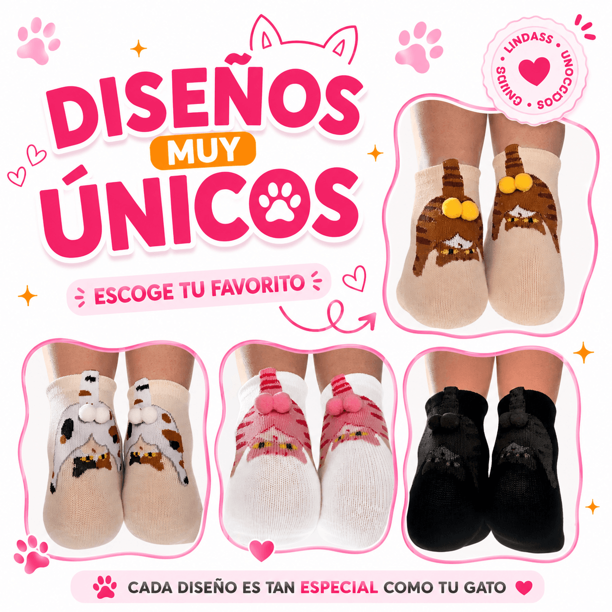 Para amantes de GATOS 😸